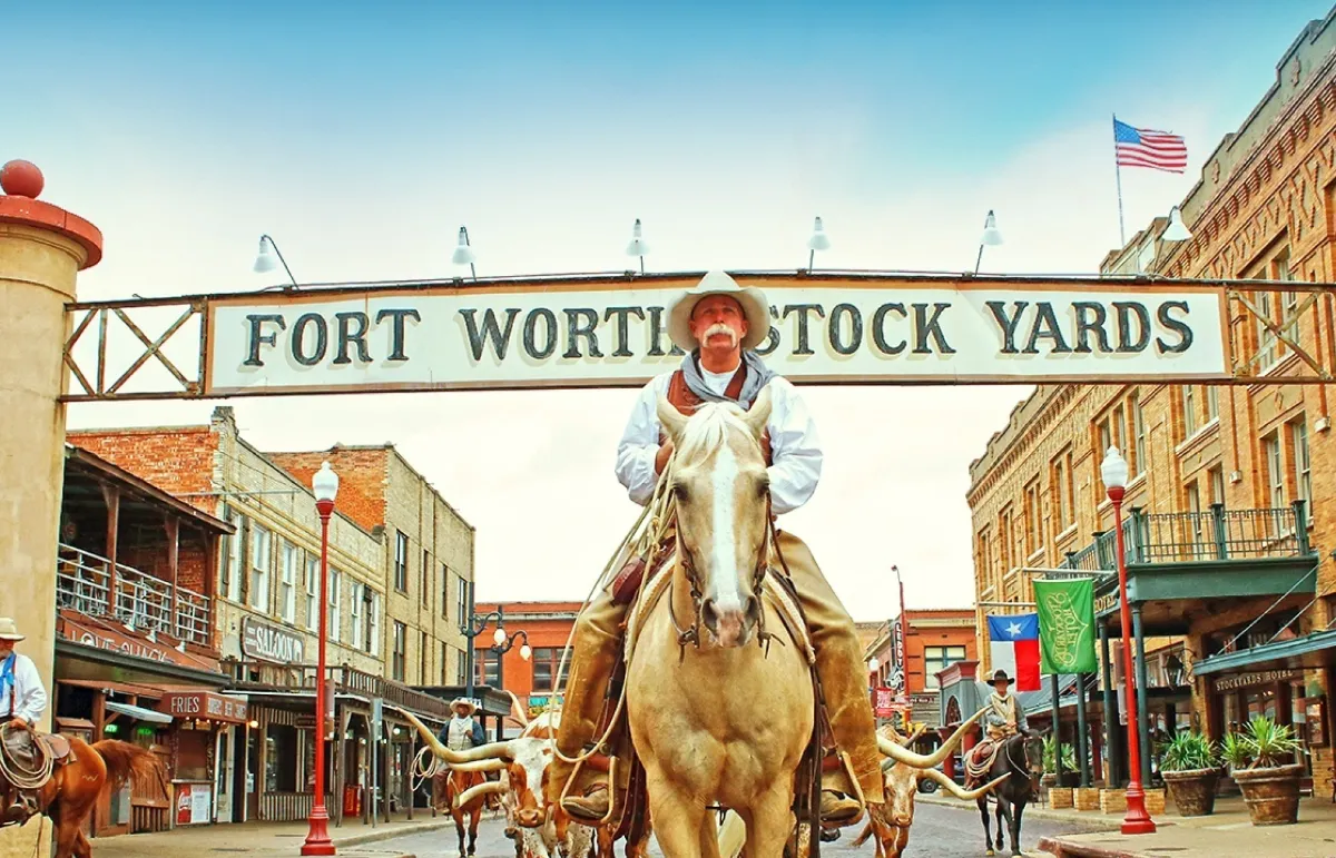Cowboy a cavalo conduzindo gado longhorn sob a placa Fort Worth Stock Yards