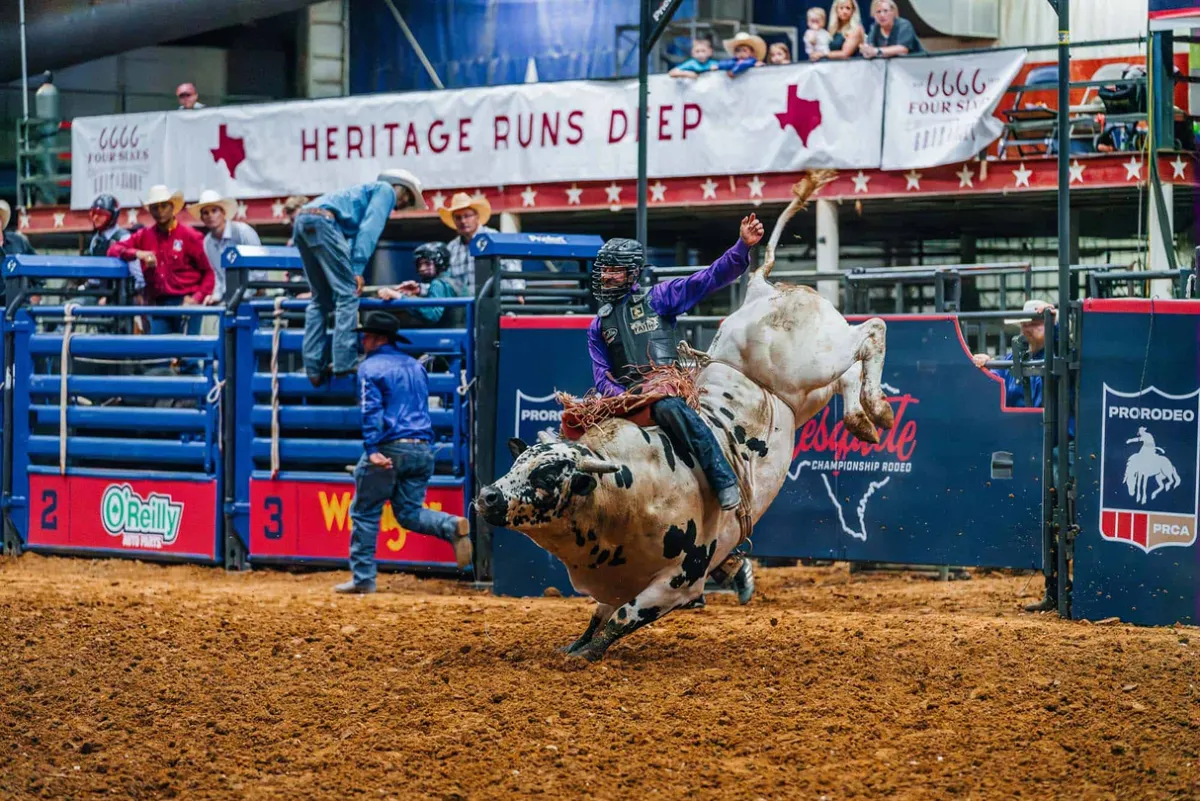 Peão montando touro na arena durante um rodeio profissional no Texas