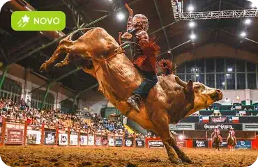 Rodeios em Fort Worth