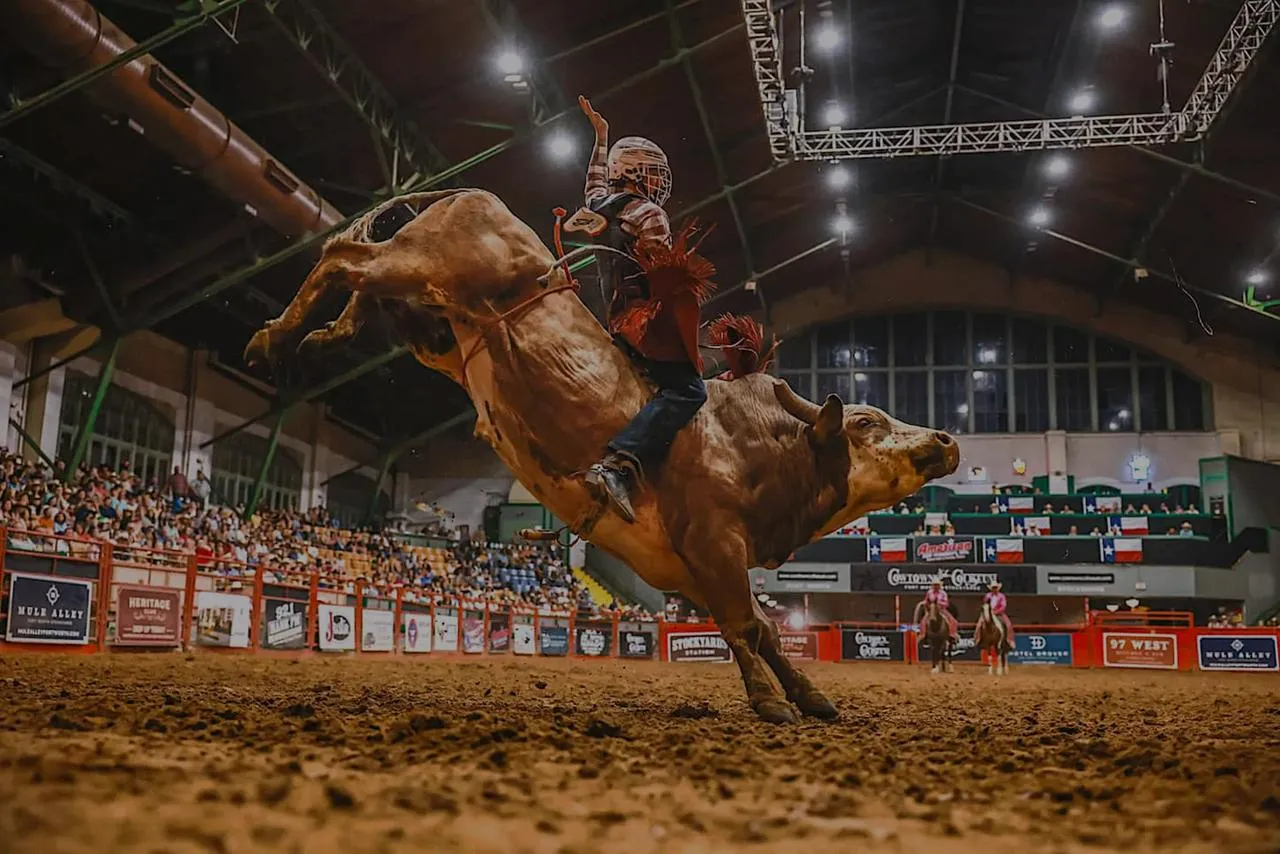 Peão montando touro na arena do Cowtown Coliseum, em Fort Worth