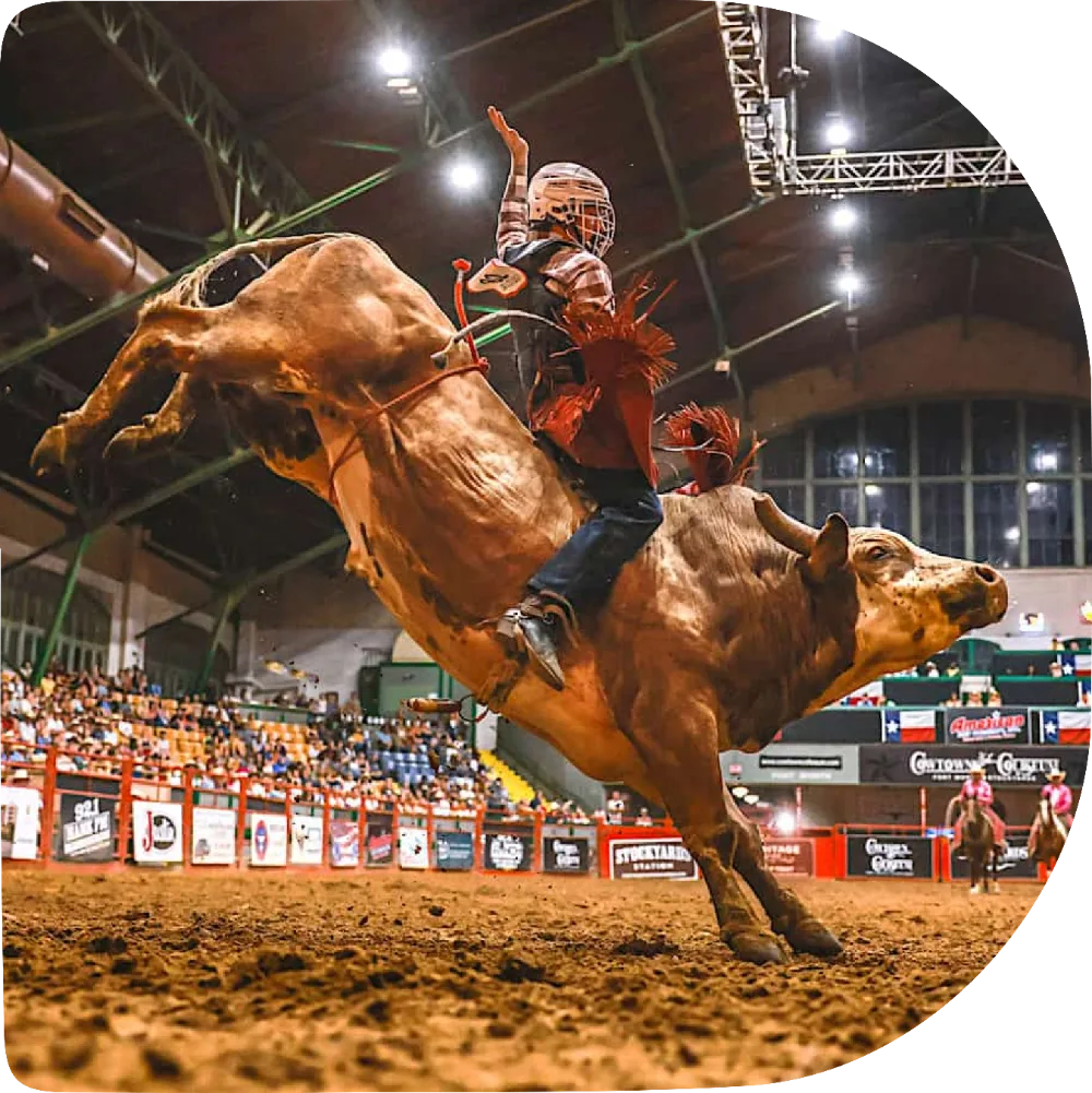 Rodeio texano perto de Dallas com guia brasileiro